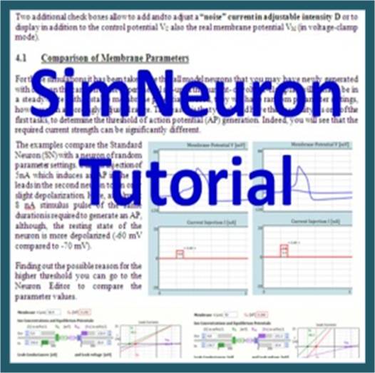 simneurontutorial